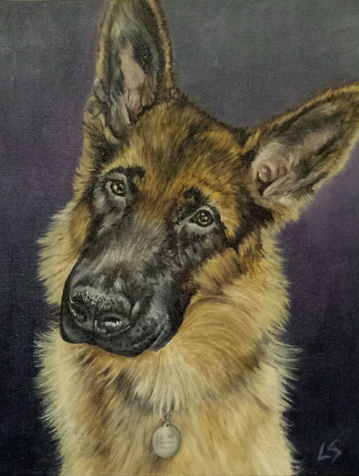 animals1
