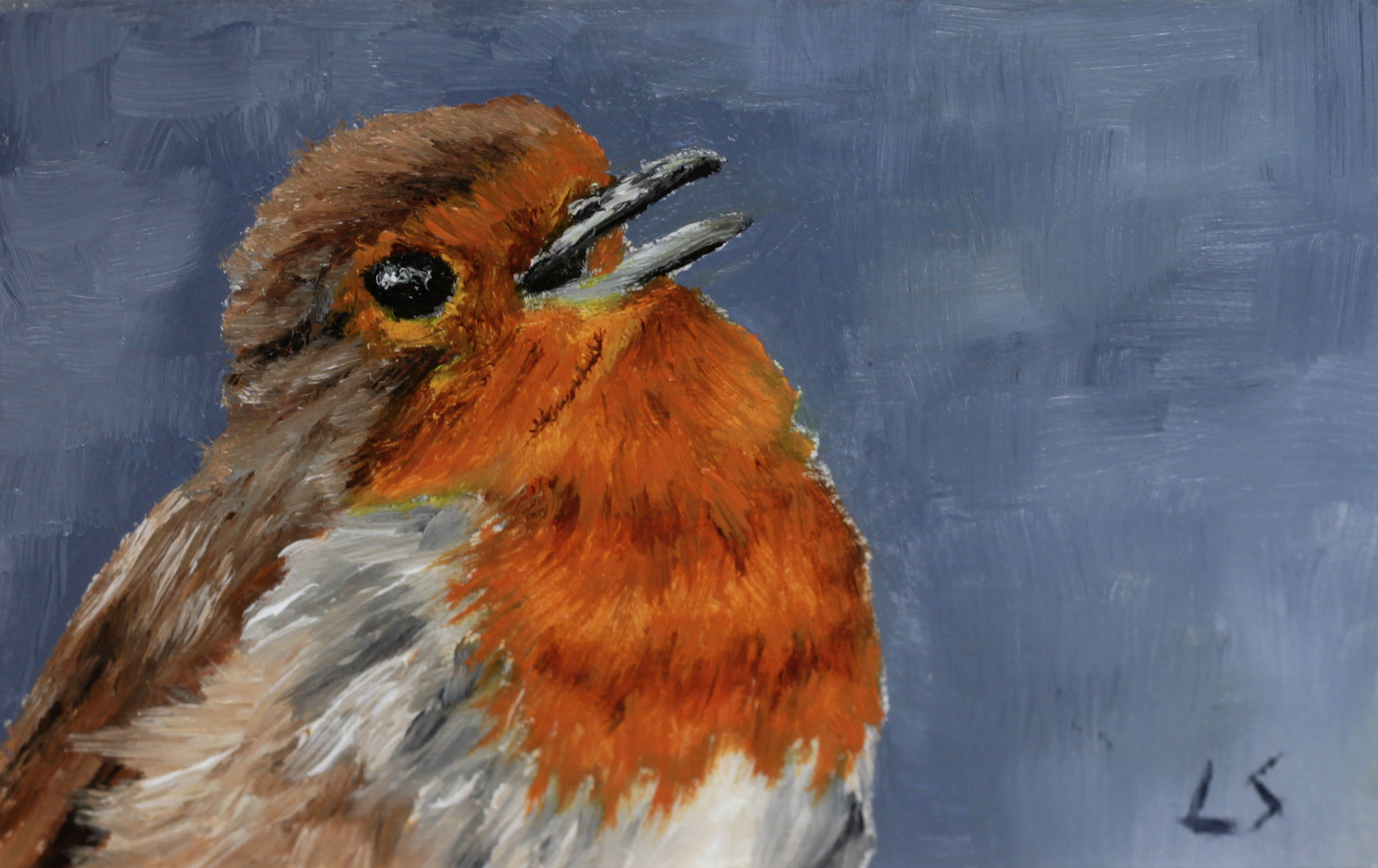 birds1