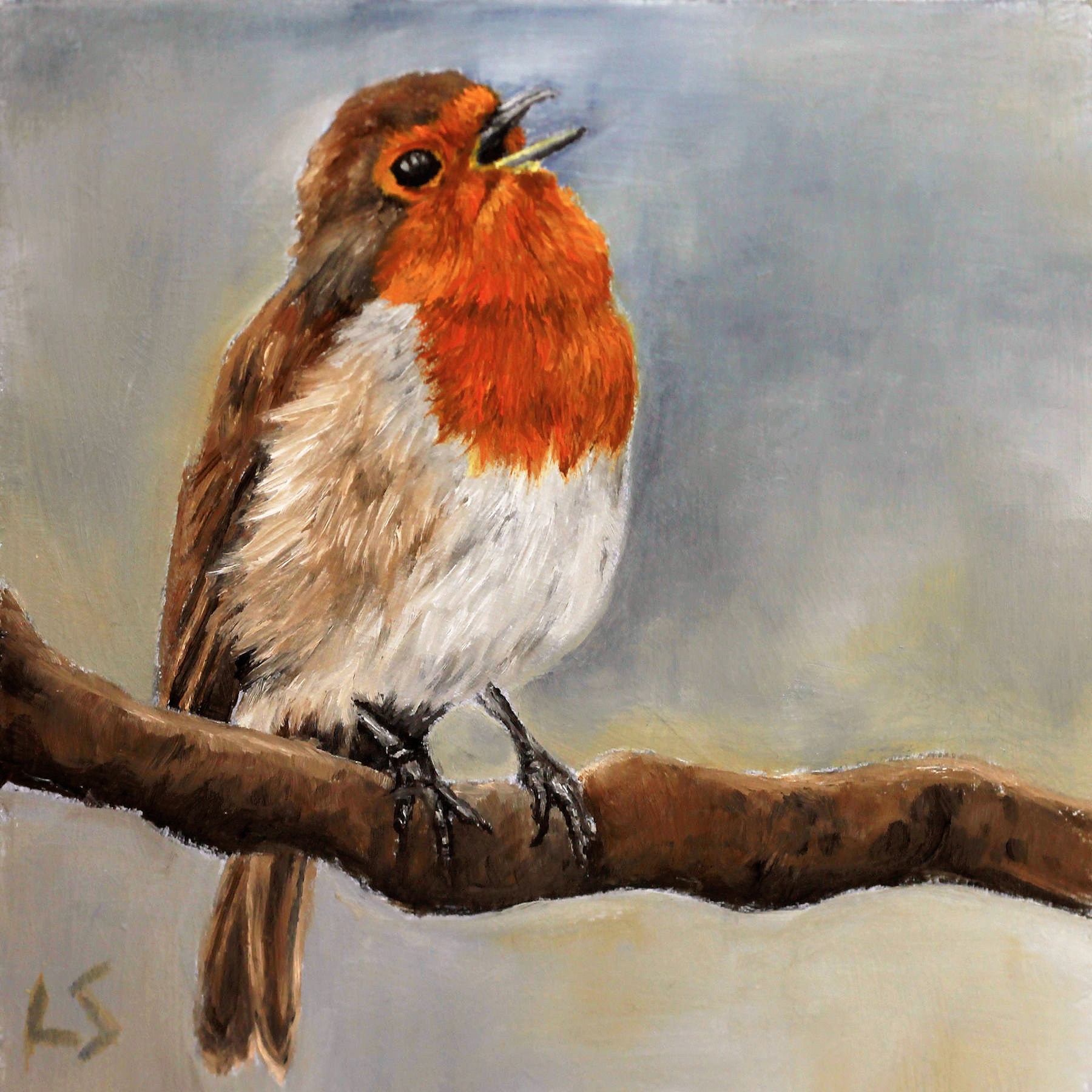 birds5