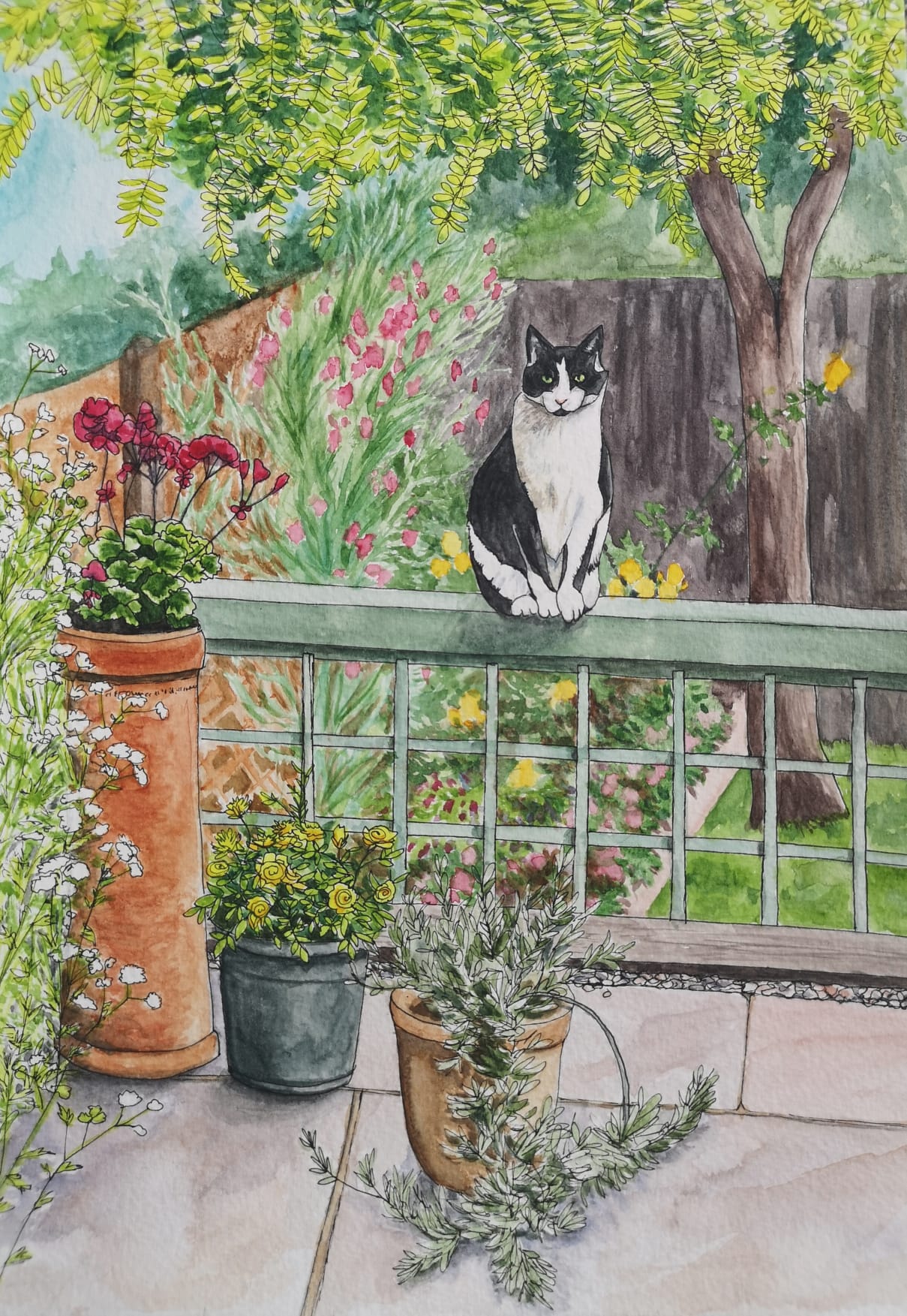 cat garden